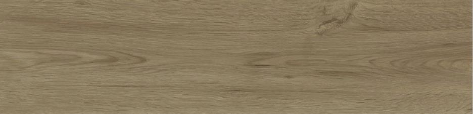 Equinox - Image 7