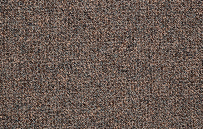 Brigade - Image 7