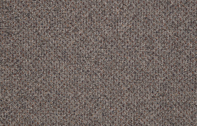 Brigade - Image 8