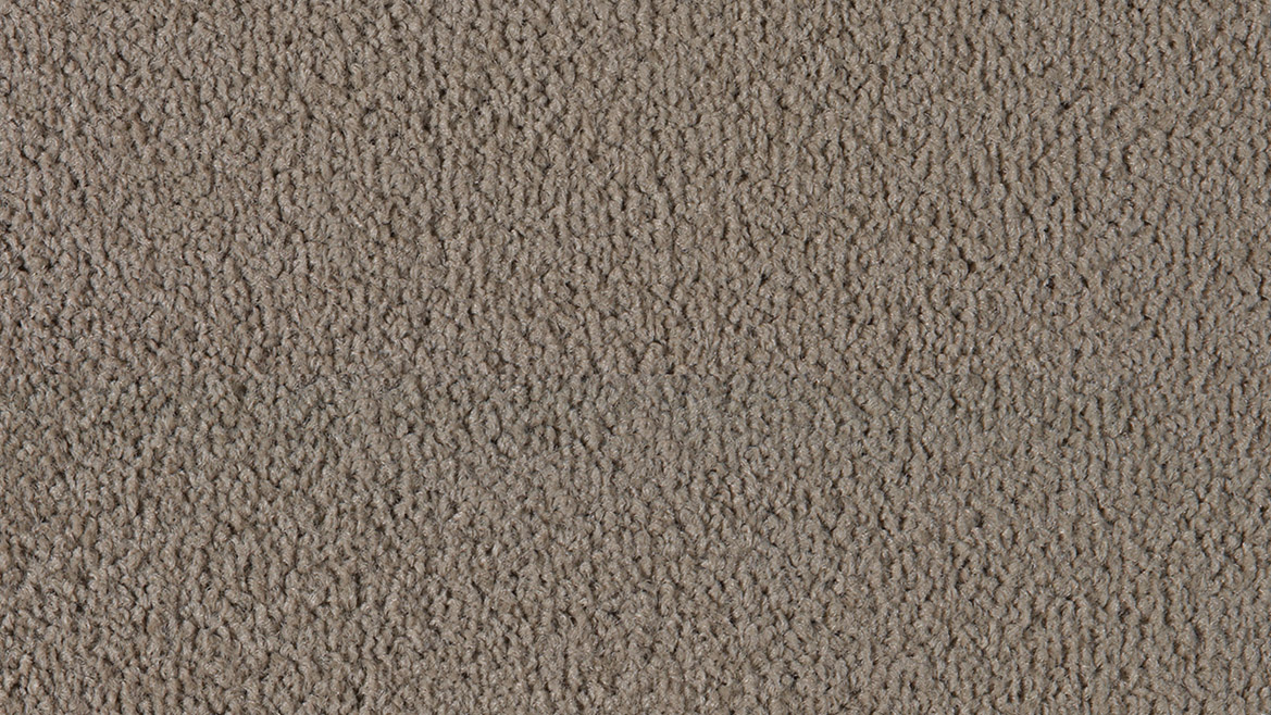 Ambition - Image 6