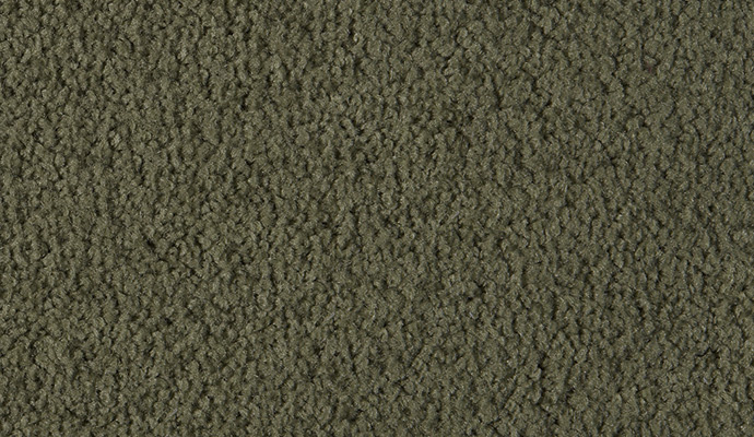Aspen - Image 4
