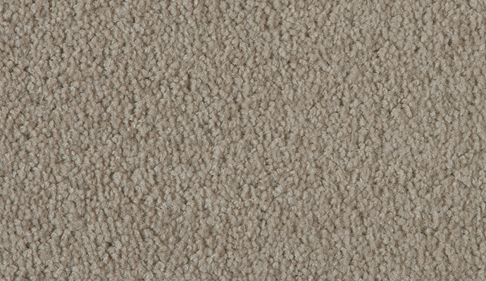Aspen - Image 7