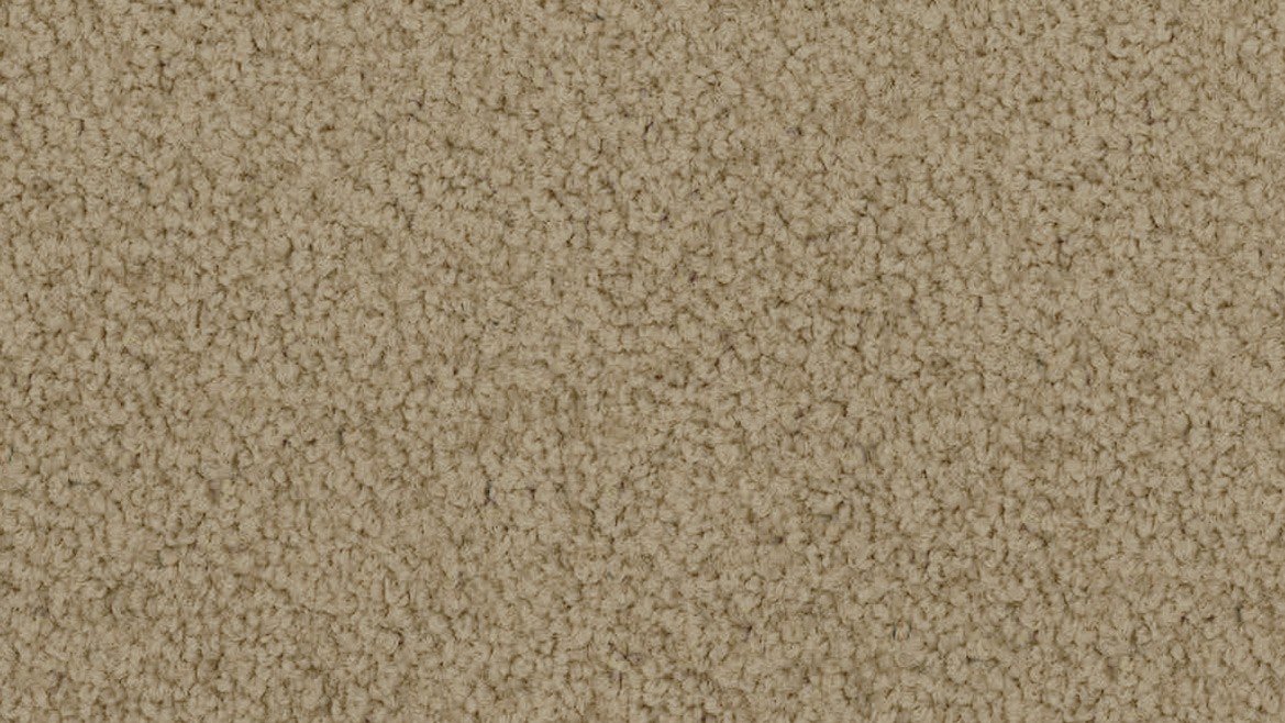 Bayside Twist - Image 2