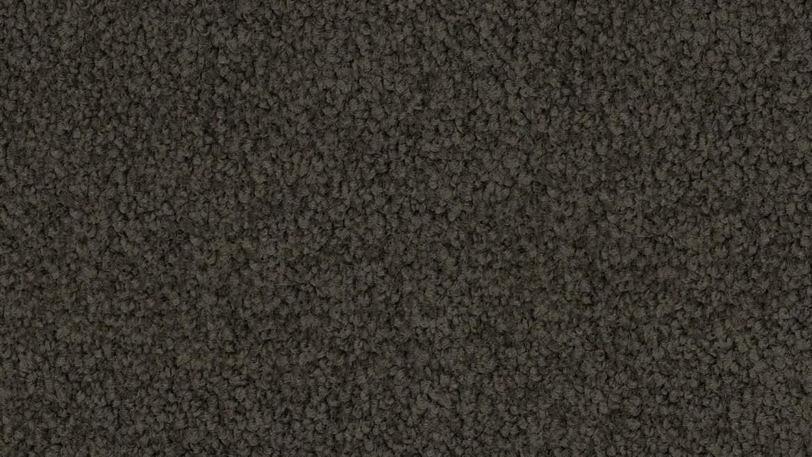 Bayside Twist - Image 6