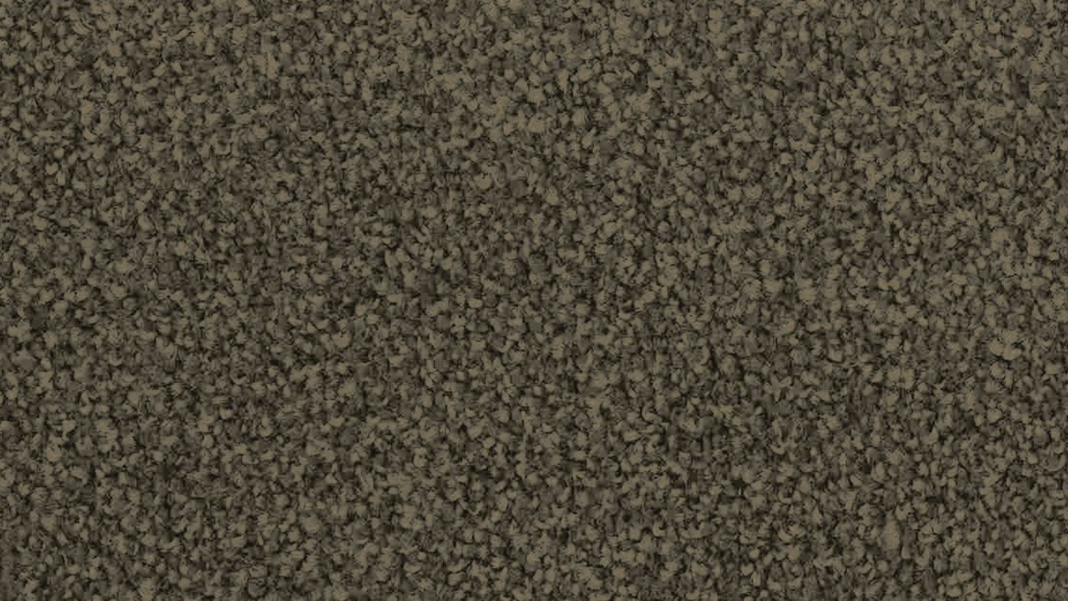 Bayside Twist - Image 9