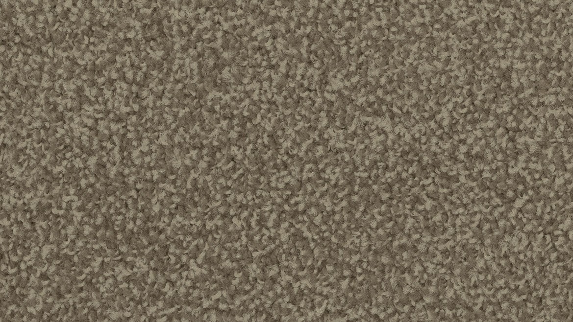 Bayside Twist - Image 10