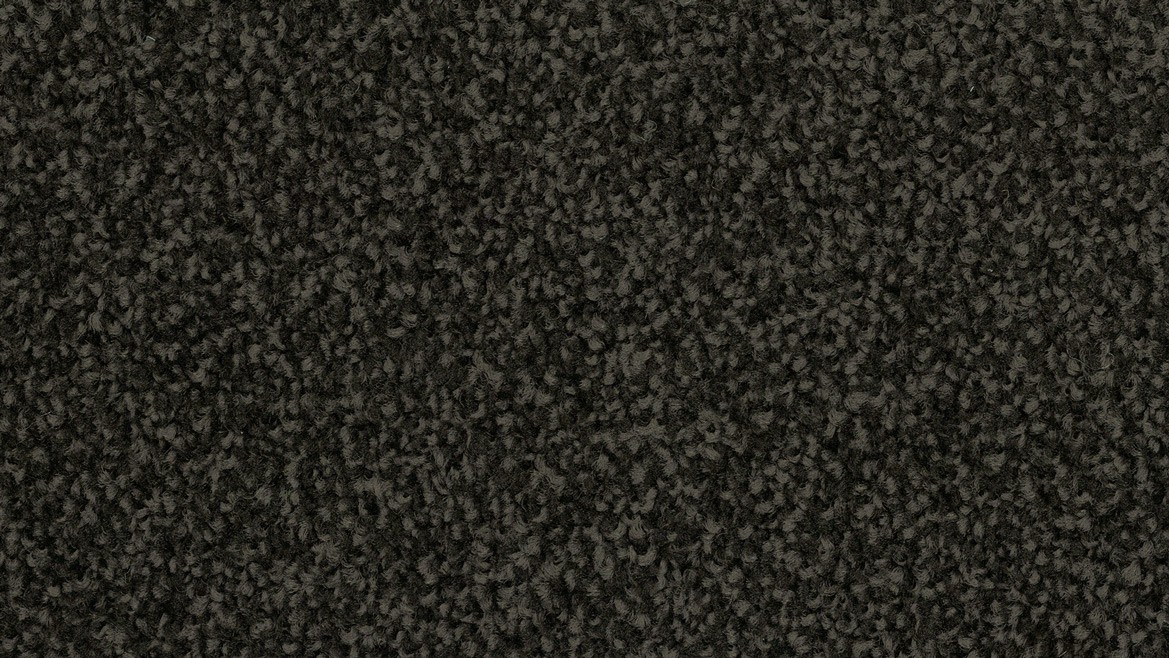 Bayside Twist - Image 11