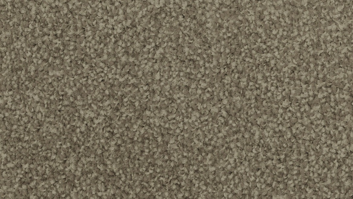 Bayside Twist - Image 12