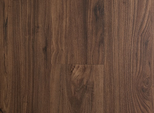 Ultimo - Image 3