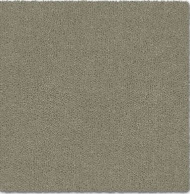 Amur - Image 3