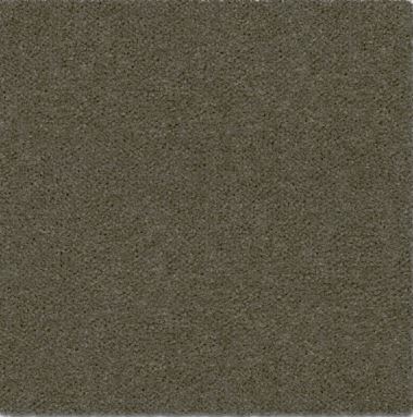 Amur - Image 4