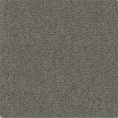 Amur - Image 2