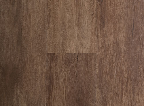 Ultimo - Image 6