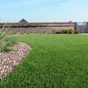 Namgrass Burley