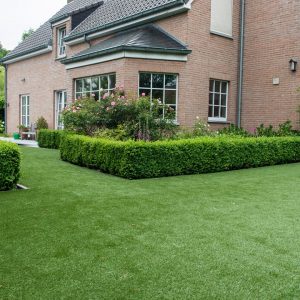 Namgrass Downton
