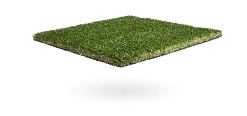 Namgrass Elise