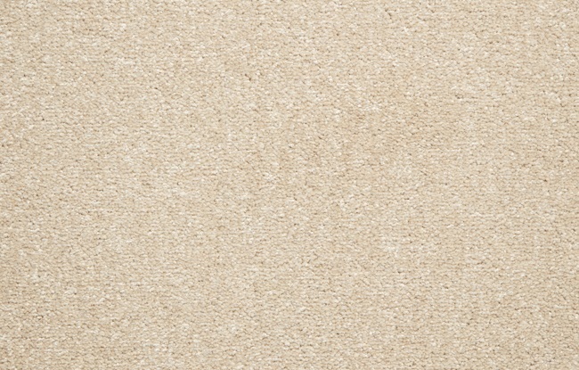 El Camino - Image 7