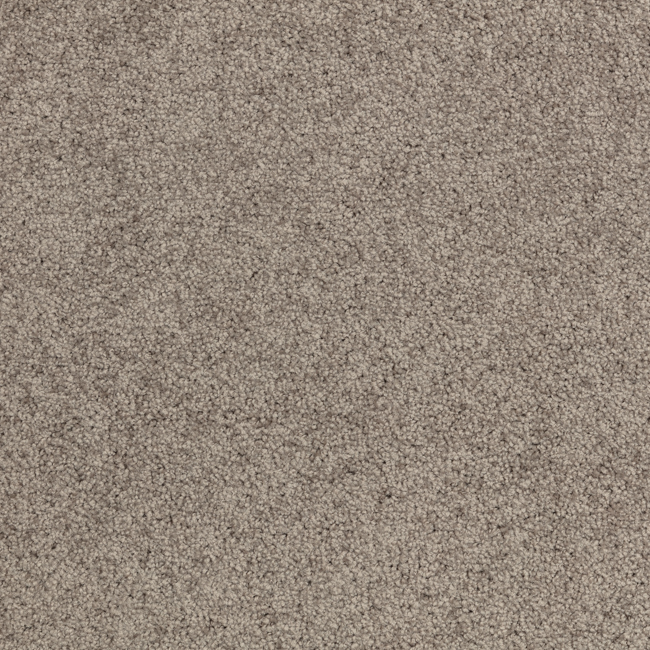 Trophy 11 - Image 2