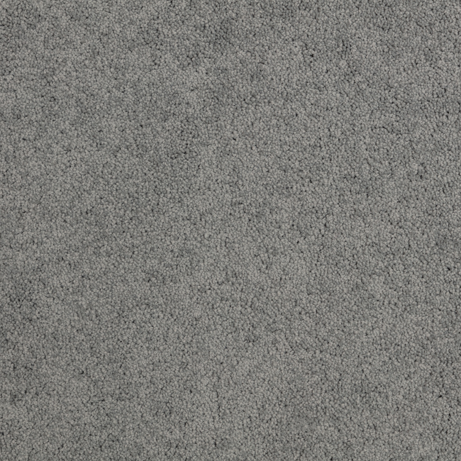 Trophy 11 - Image 4
