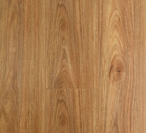 OAKLEAF - Image 11