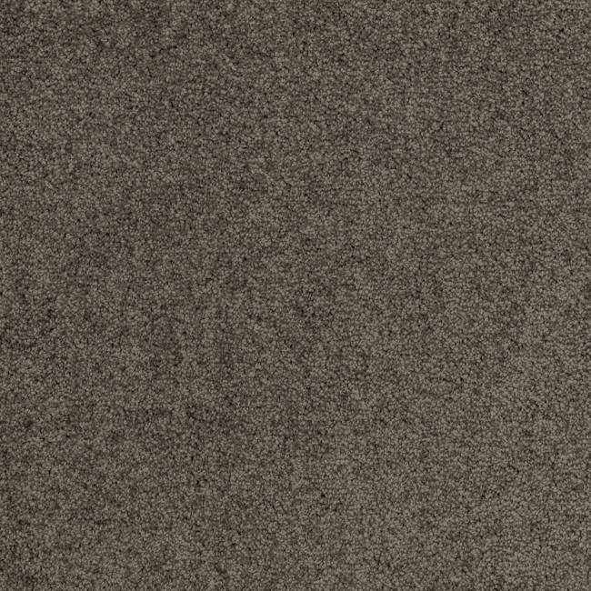 Trophy 11 - Image 6